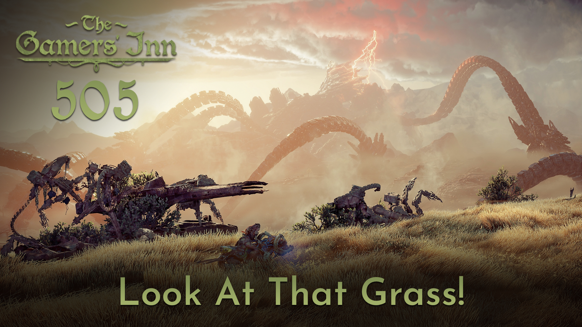TGI 505 – Look At That Grass!